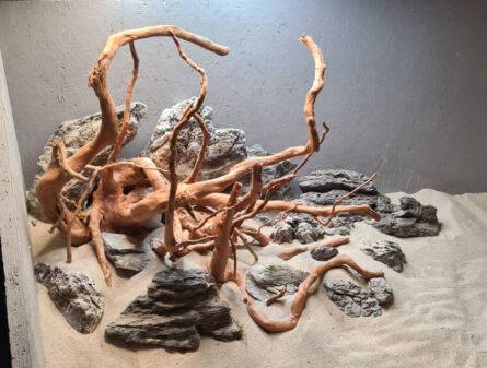 Landscape rock & Azalea Hardscape 80cm - Afbeelding 3