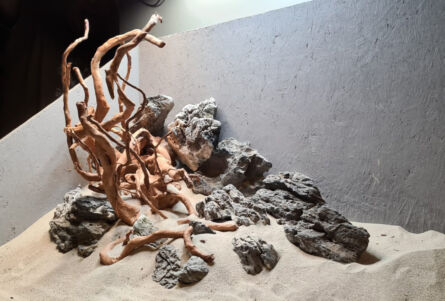 Landscape rock & Azalea Hardscape 80cm - Afbeelding 4