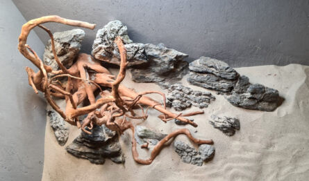Landscape rock & Azalea Hardscape 80cm - Afbeelding 6